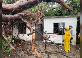 Gobierno de Victoria libera vialidades y mitiga riesgos a la población