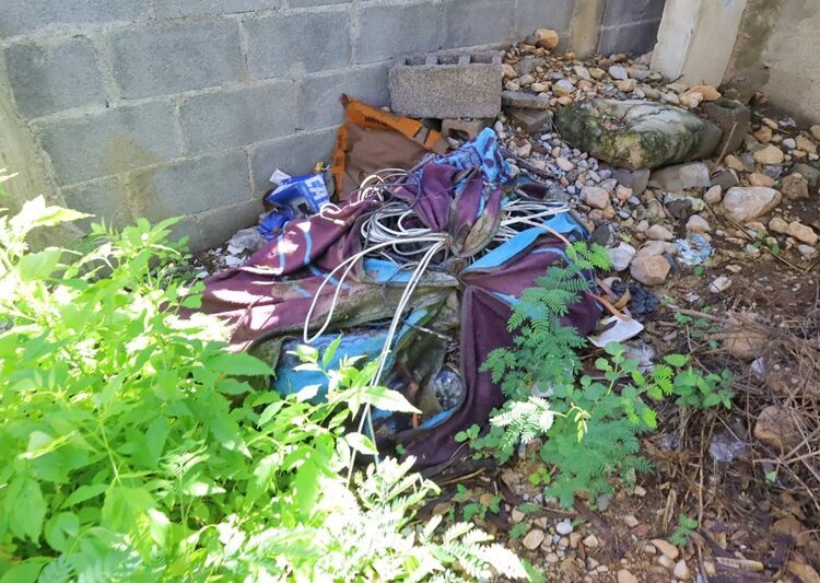 Inician Estado y Municipio acciones de combate del dengue