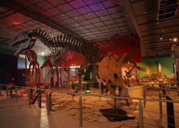 Invita Gobierno de NLD a divertirse en museos de la ciudad