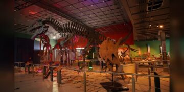 Invita Gobierno de NLD a divertirse en museos de la ciudad
