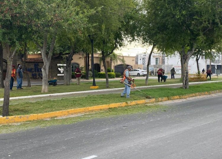 Realiza Gobierno de NLD constante limpieza y mantenimiento de la ciudad