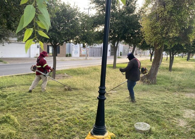 Realiza Gobierno de NLD constante limpieza y mantenimiento de la ciudad