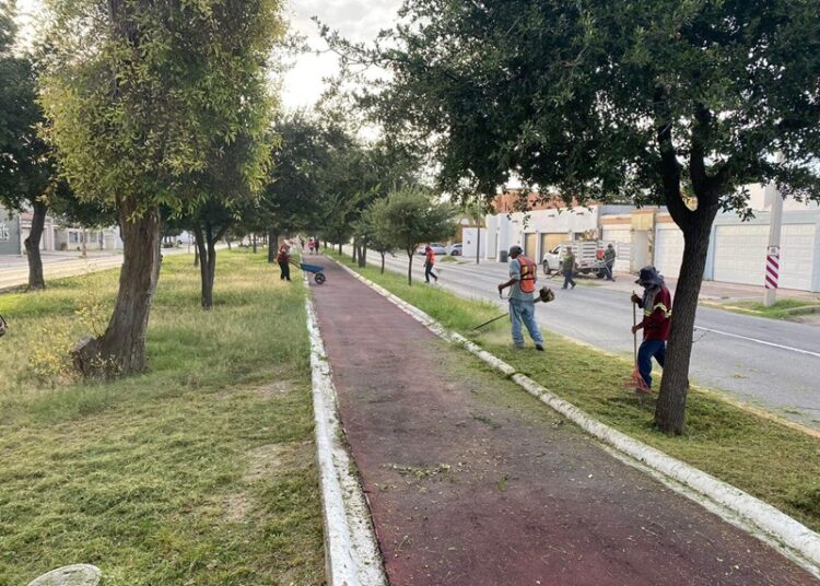 Realiza Gobierno de NLD constante limpieza y mantenimiento de la ciudad