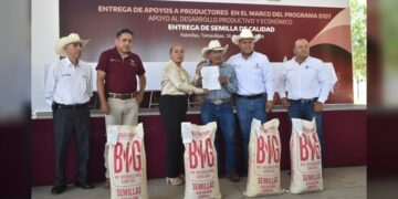 Reciben productores de Palmillas semilla de maíz