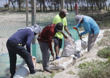 Refuerza Comisión de Parques protección en campos tortugueros de Tamaulipas