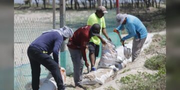 Refuerza Comisión de Parques protección en campos tortugueros de Tamaulipas