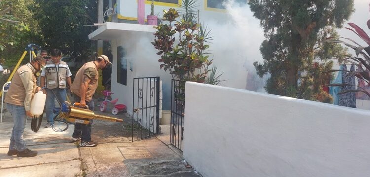 Refuerza SST campaña intensiva contra el dengue en Tamaulipas