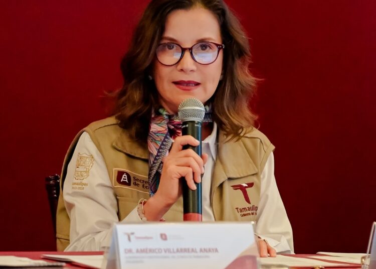 Campo y comercio impulsan crecimiento de economía de Tamaulipas