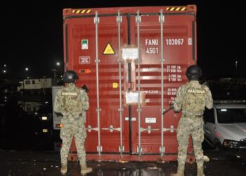SEMAR asegura 6.8 toneladas de presunta “marihuana” en el Puerto de Veracruz