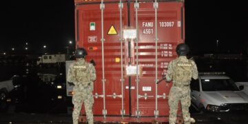 SEMAR asegura 6.8 toneladas de presunta “marihuana” en el Puerto de Veracruz