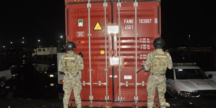 SEMAR asegura 6.8 toneladas de presunta “marihuana” en el Puerto de Veracruz