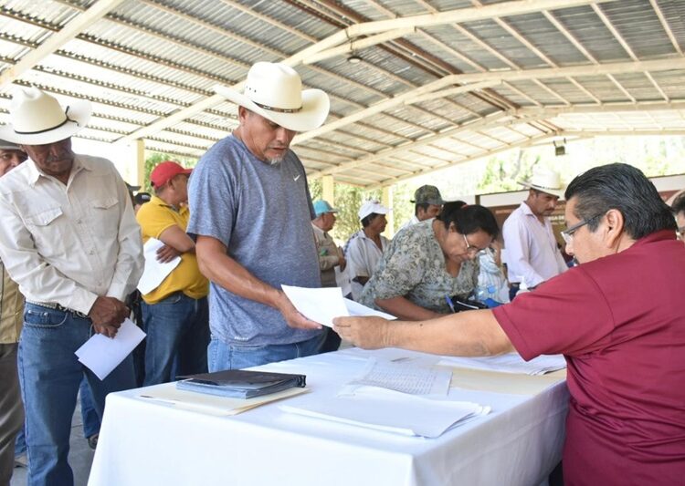 Reciben productores de Palmillas semilla de maíz