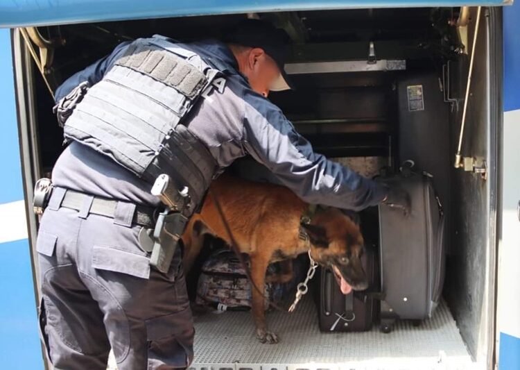 Mantiene Guardia Estatal proximidad en centrales de autobuses