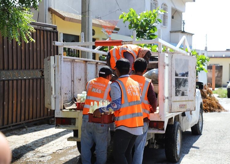 Intensifica Salud acciones contra el dengue