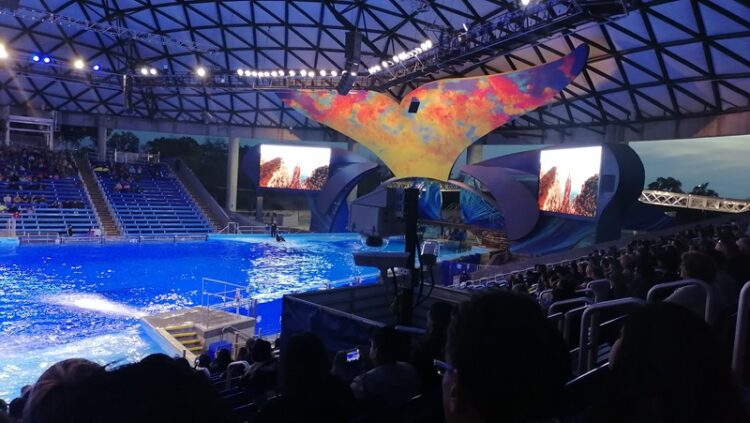 SeaWorld, 60 años de su existencia