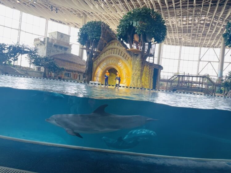 SeaWorld, 60 años de su existencia