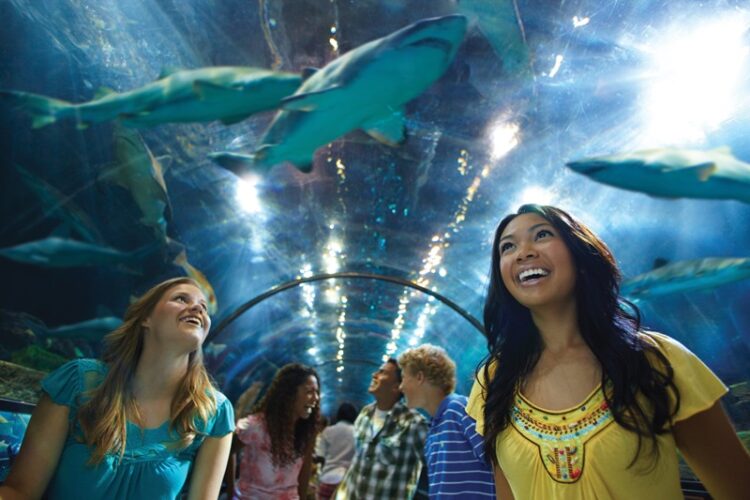 SeaWorld, 60 años de su existencia