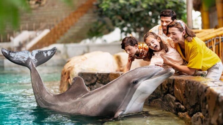 SeaWorld, 60 años de su existencia