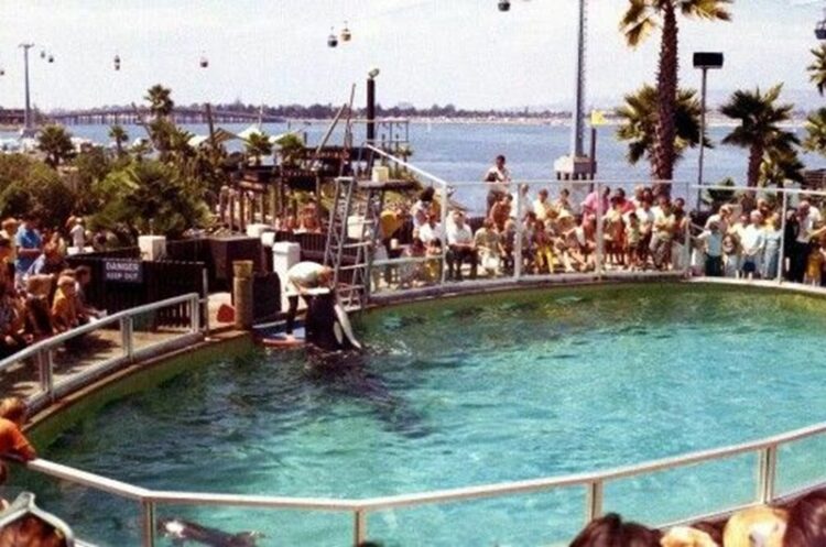 SeaWorld, 60 años de su existencia