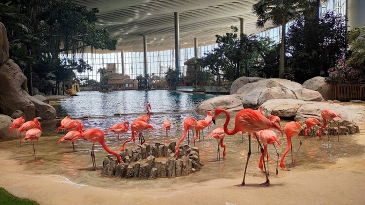 SeaWorld, 60 años de su existencia