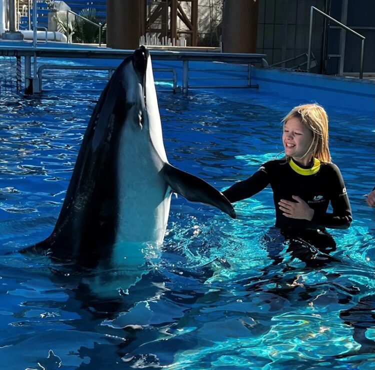 SeaWorld, 60 años de su existencia