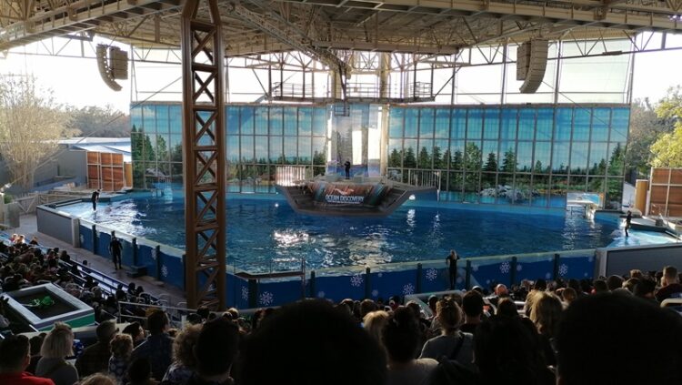 SeaWorld, 60 años de su existencia