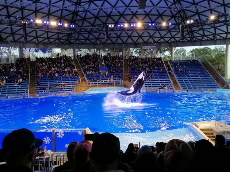 SeaWorld, 60 años de su existencia