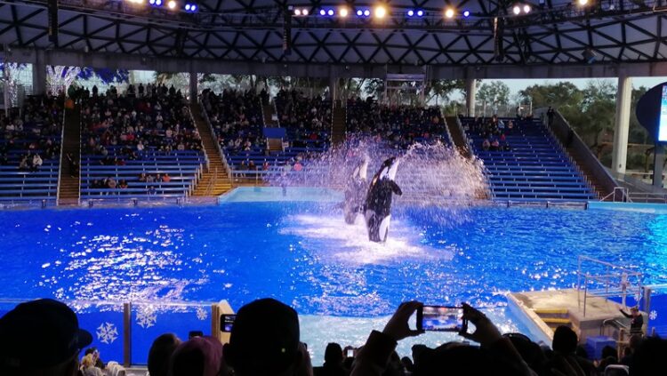 SeaWorld, 60 años de su existencia