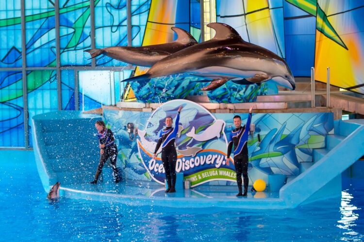 SeaWorld, 60 años de su existencia