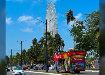 “Laguna del Carpintero, principal destino turístico de Tampico”: Chucho