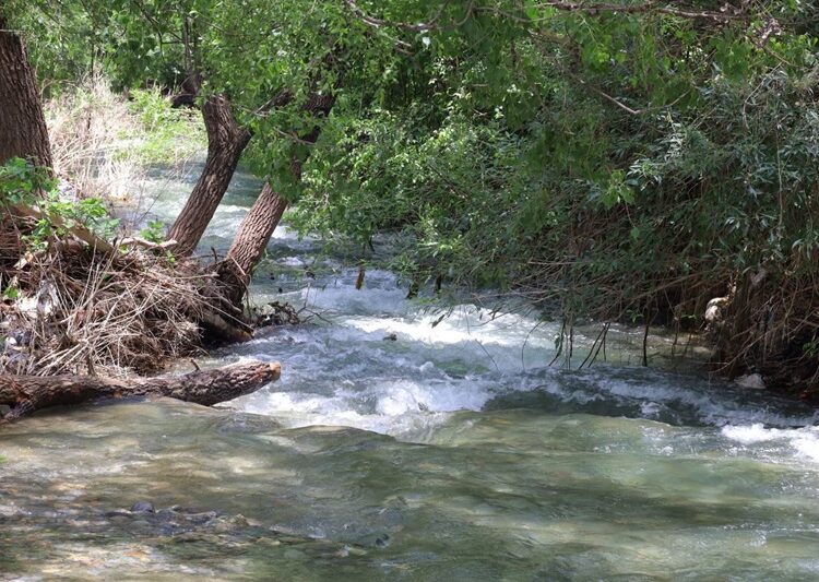 Supervisan atención y vigilancia en centros recreativos y balnearios