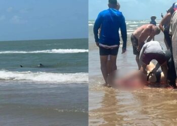 Murió la mujer mordida por tiburón en la Isla del Padre