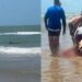 Murió la mujer mordida por tiburón en la Isla del Padre