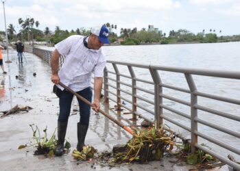 Tampico atiende afectaciones causadas por intensas lluvias