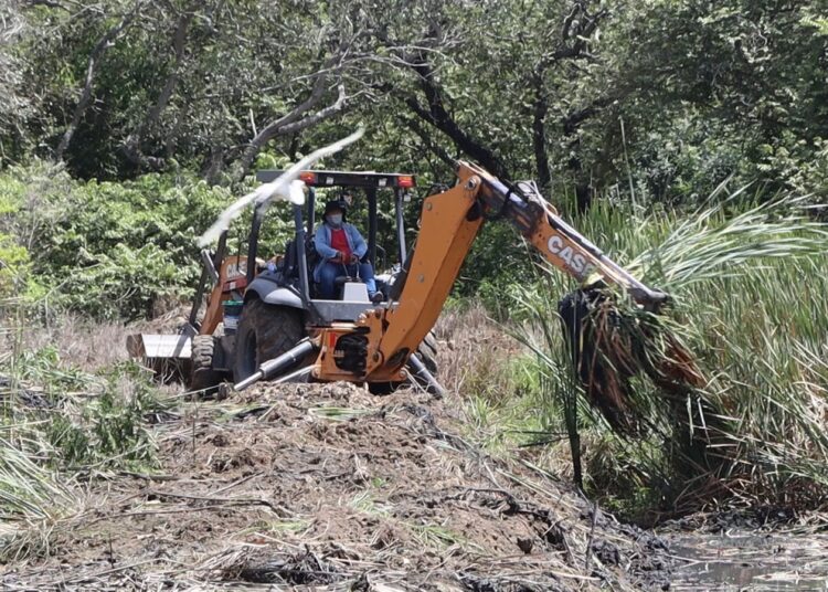 COMAPA Altamira apoya en limpieza de canales y drenes pluviales