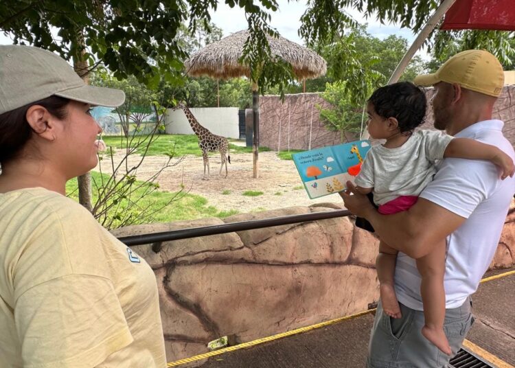 Nació jirafa en Tamatán