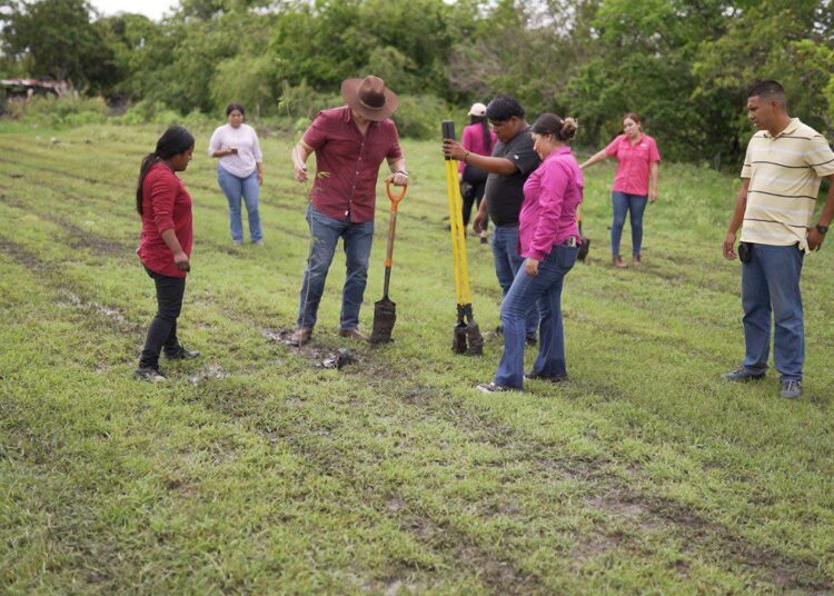 Mantiene Altamira programas de reforestación municipal