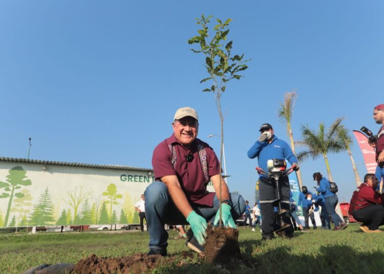 Mantiene Altamira programas de reforestación municipal