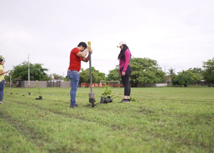 Mantiene Altamira programas de reforestación municipal