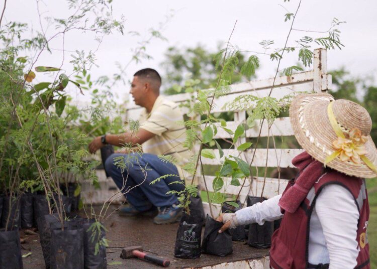 Mantiene Altamira programas de reforestación municipal