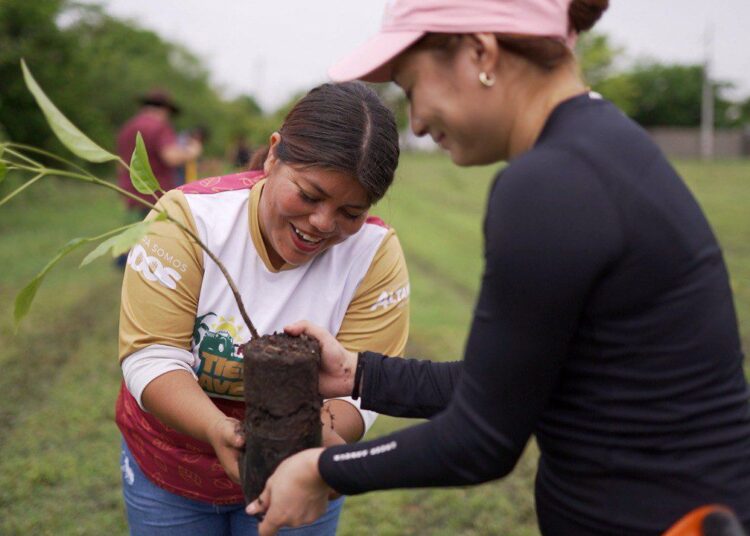 Mantiene Altamira programas de reforestación municipal