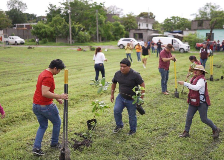 Mantiene Altamira programas de reforestación municipal