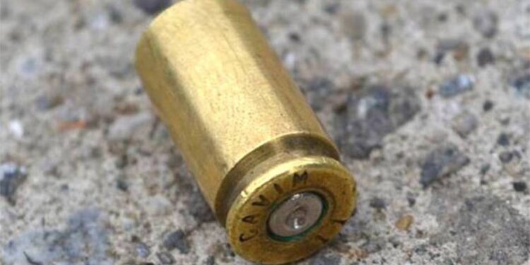 Masacre en Guanajuato: levantan y matan a seis personas