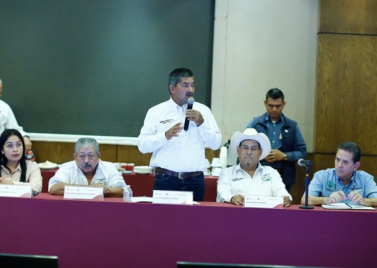 Anuncia Américo Villarreal apoyo adicional para productores de sorgo