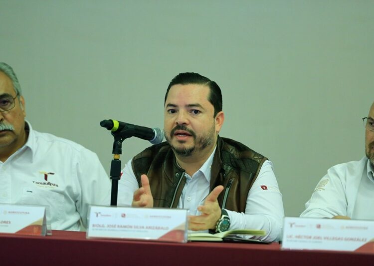 Anuncia Américo Villarreal apoyo adicional para productores de sorgo