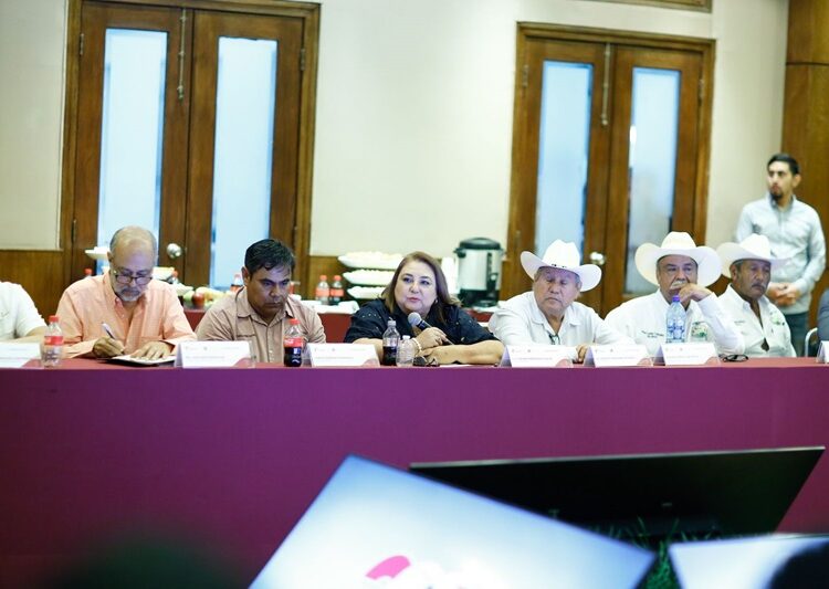 Anuncia Américo Villarreal apoyo adicional para productores de sorgo