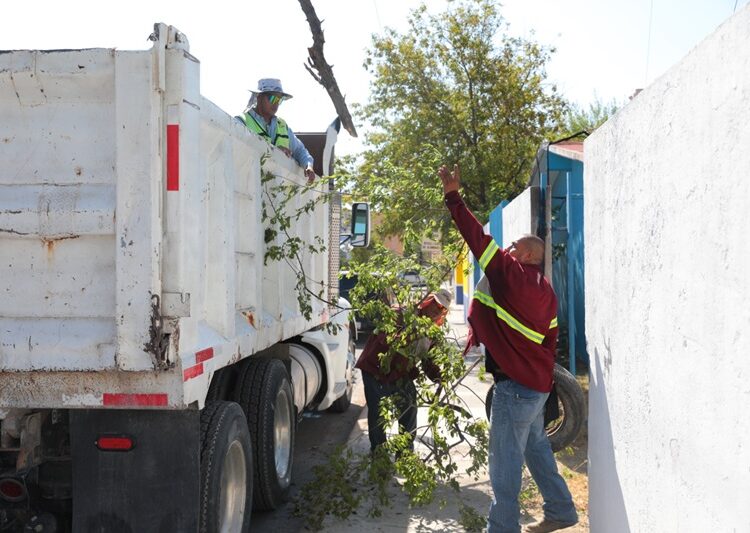 Apoya Gobierno de NLD limpieza y mantenimiento de escuelas públicas