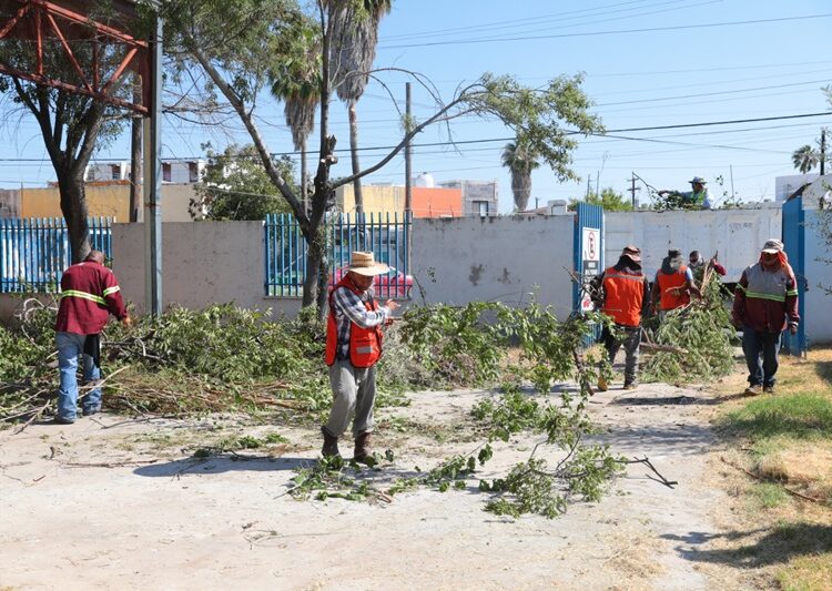 Apoya Gobierno de NLD limpieza y mantenimiento de escuelas públicas