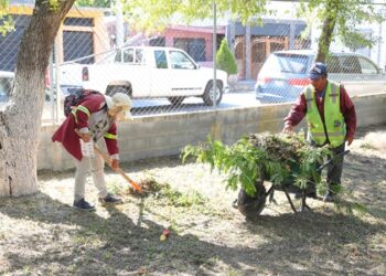 Apoya Gobierno de NLD limpieza y mantenimiento de escuelas públicas