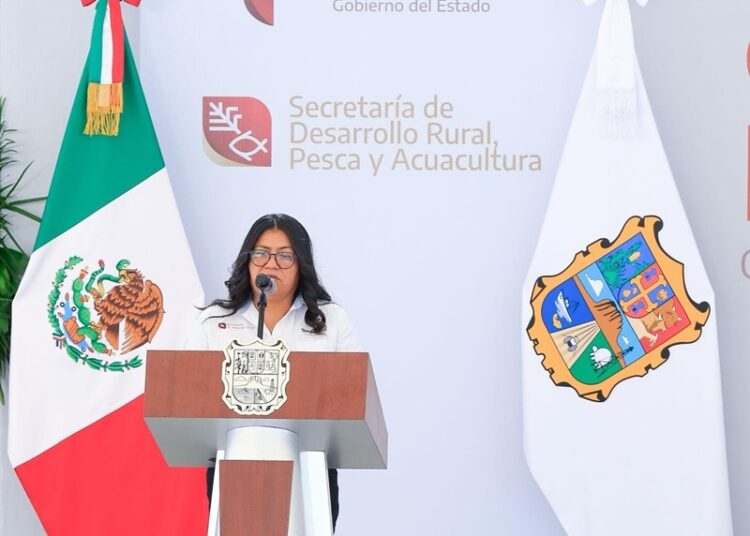 “Apoyaremos a productores de sorgo con 270 MDP”: Américo